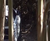 Толстый дядя трахает в лесу симпатичную проститутку